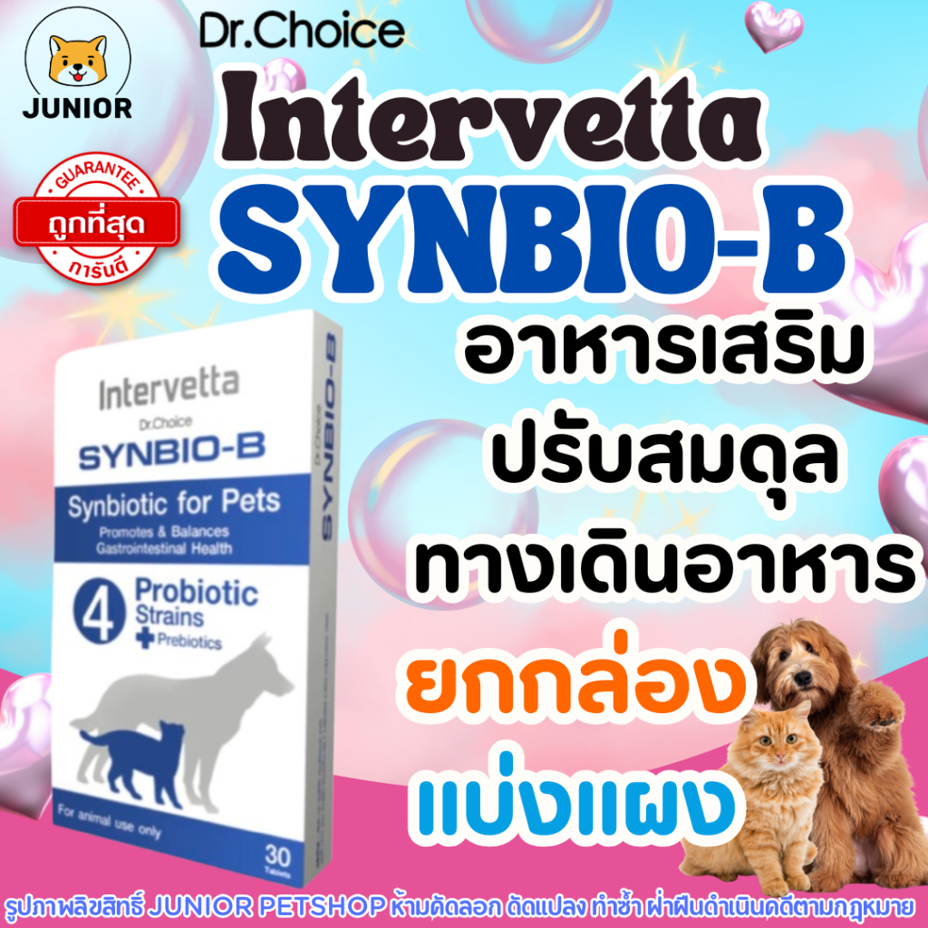 Intervetta Synbio B แมว-สุนัข โพรไบโอติก+พรีไบโอติก ปรับสมดุลลำไส้ ลำไส้สุขภาพดี