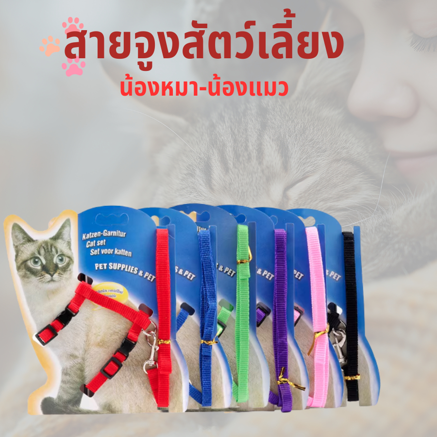 สายจูงสัตว์เลี้ยง สายจูงสุนัข  สายจูงแมว คุณภาพดี ราคาถูก พร้อมส่ง