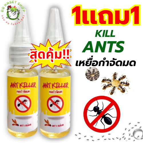โปร 1เเถม1 เจล กำจัด มด เเม้ในบ้านมีสัตว์เลี้ยงก็หยดได้ ไม่เป็นอันตรายต่อสัตว์เลี้ยงเเละคน