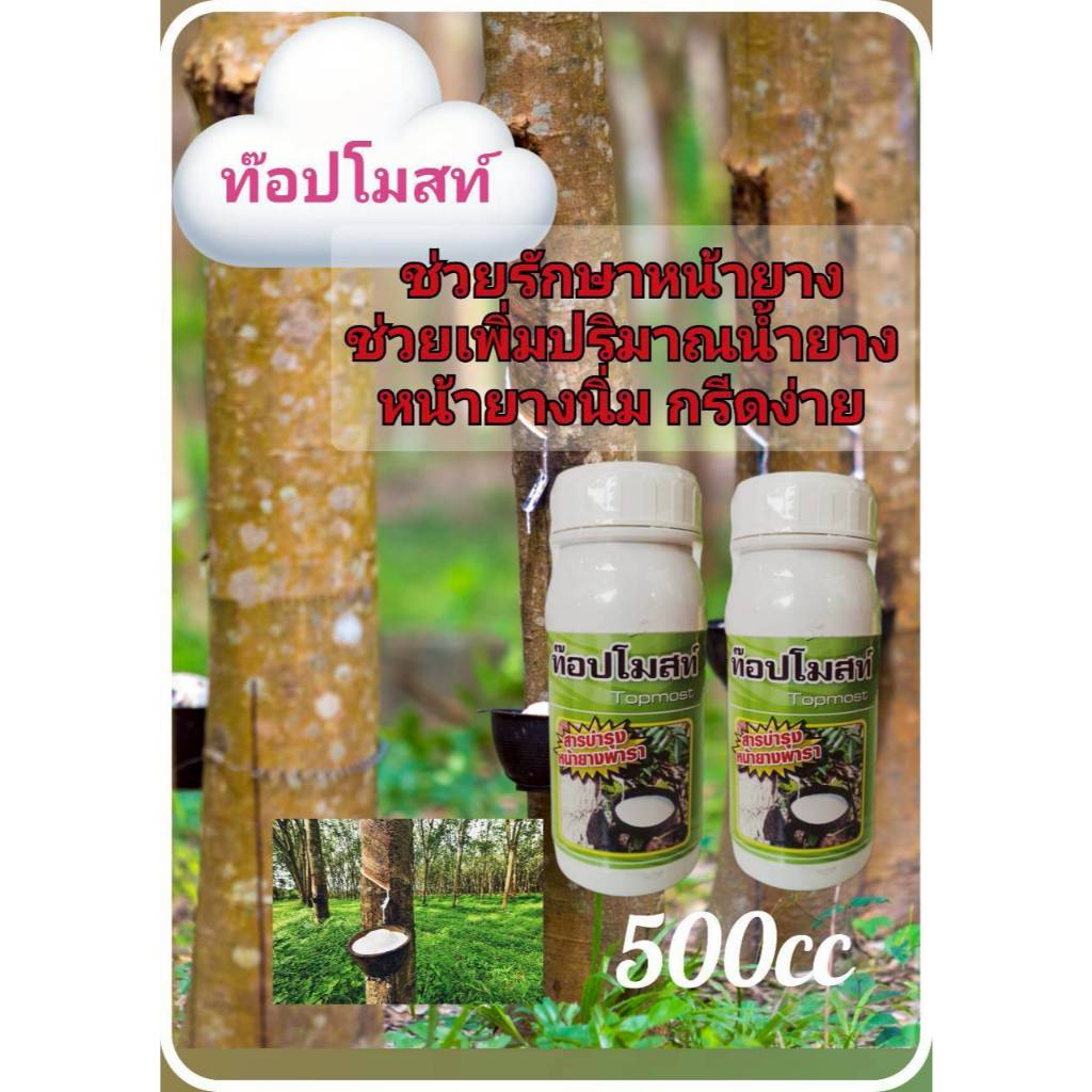 ท๊อปโมสท์ สารบำรุงหน้ายาง เปิดท่อน้ำยาง รักษาหน้ายาง เพิ่มน้ำยาง รักษาหน้ายางเน่า เส้นดำอบำรุงต้นยางไม่ให้โทรม