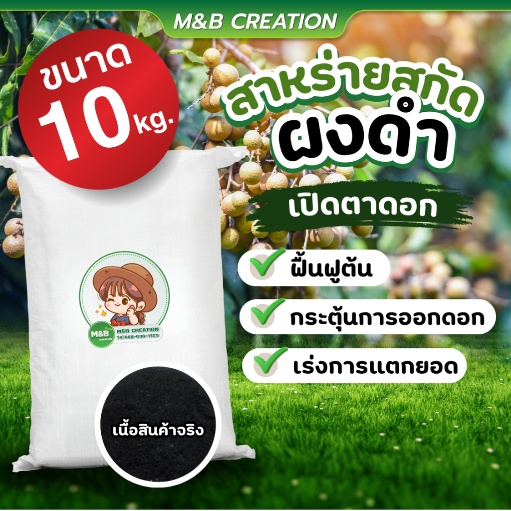 สาหร่ายสกัดผงดำ (Seaweed Extract Powder) สูตรเปิดตาดอก ขนาด 10 กิโลกรัม