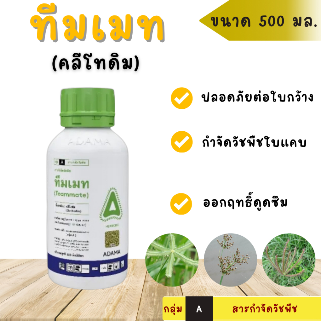 ทีมเมท (คลีโทดิม) ขนาด 500 มล. ADAMA ออกฤทธิ์ดูดซึม กำจัดวัชพืชใบแคบและลูกข้าวโดยเฉพาะ