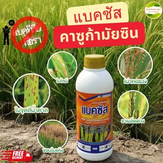 แบ็คซัส สารคาซูกามัยซิน ได้ทั้งแบคทีเรียและเชื้อรา ป้องกันและรักษาโรคข้าวสำคัญ เช่นโรคขอบใบแห้งโรค ใบขีด ใบจุด เมล็ดด่าง