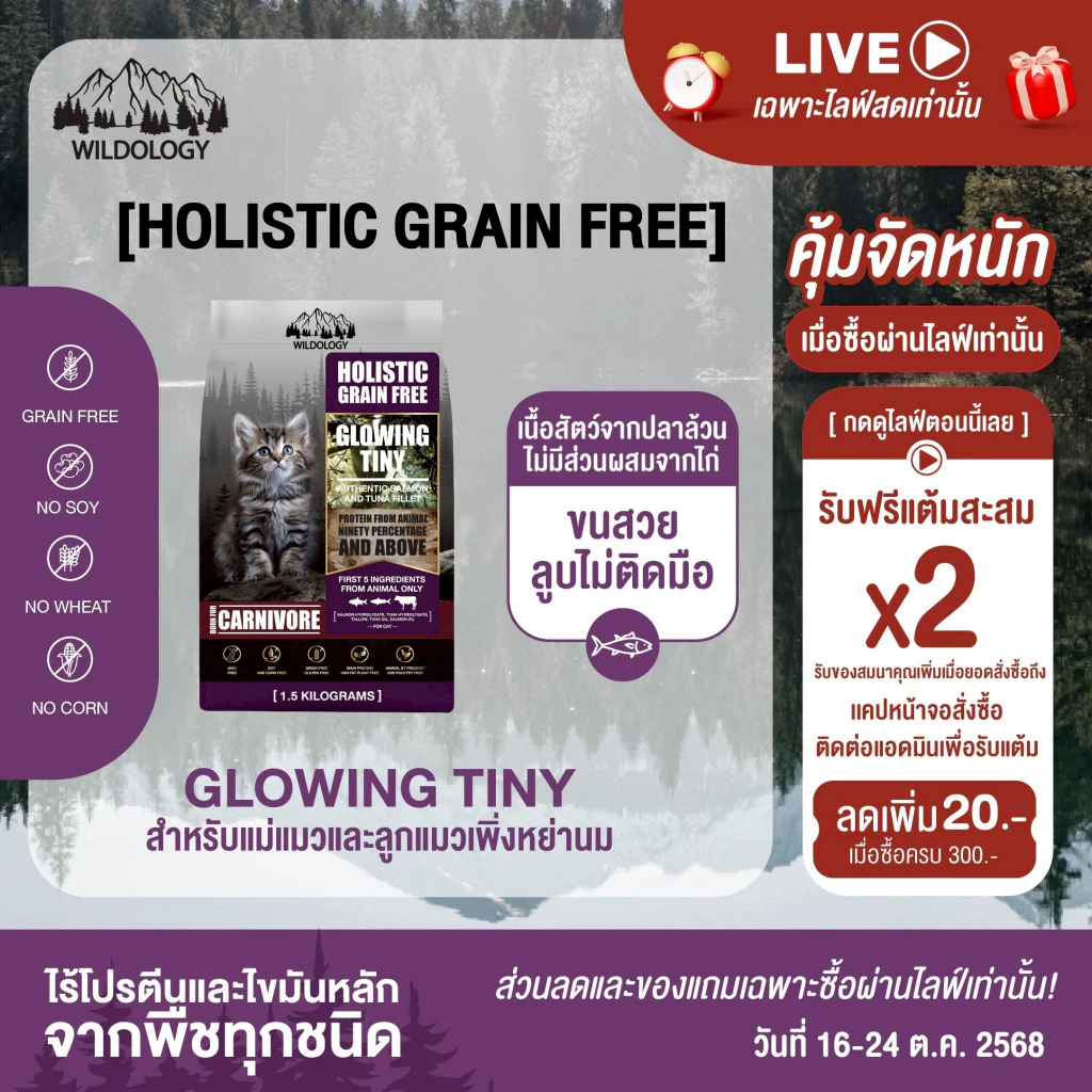 อาหารแมวแบบเม็ดโฮลิสติกเกรนฟรี ไวลด์โอโลจี GLOWING TINY สำหรับแม่แมวและลูกแมวหย่านม [ GT ]
