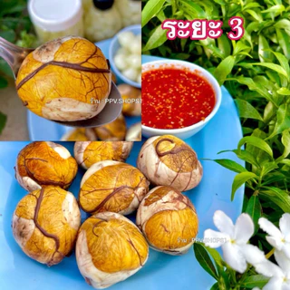 ไข่ลูกเป็ดเวียดนาม ระยะ 1 2 3 (เลือกระยะได้) [แถมน้ำจิ้ม) 3 ฟอง