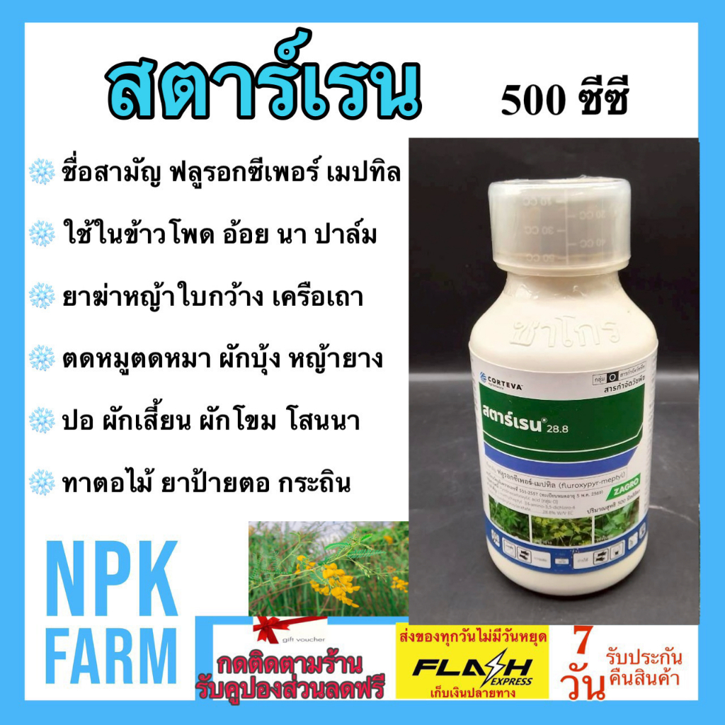 zagro สตาร์เรน ขนาด 500 ซีซี สตาเรน กำจัดหญ้าใบกว้าง เครือเถา ไม่มีผลต่อข้าวโพด อ้อย ข้าว ยาทาตอไม้