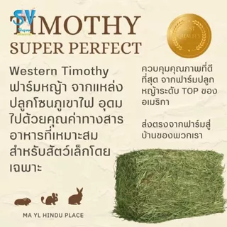 มายล ทิมโมธี เกรดกระต่าย คุณภาพดีที่สุด 1 กิโลกรัม