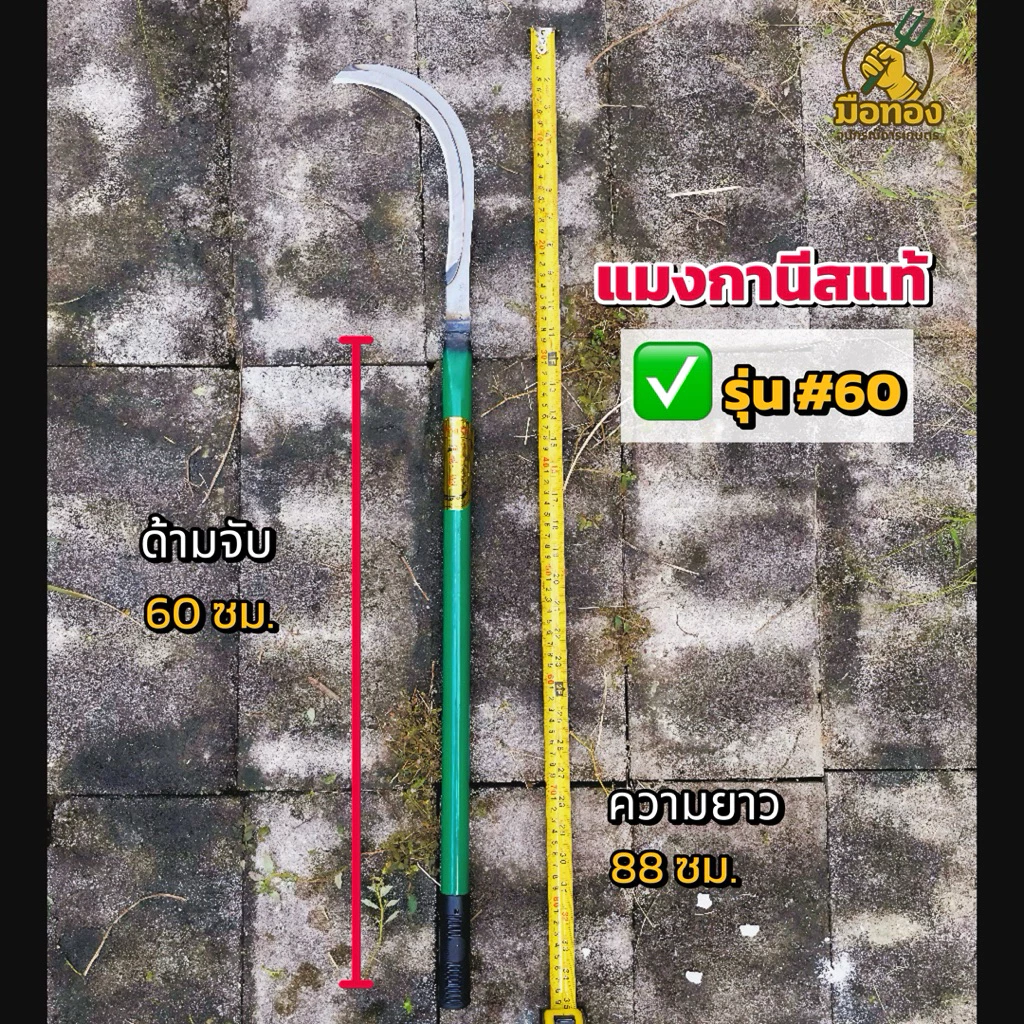 เคียวเหล็กแมงกานีสแท้ คมจริง ตัดง่ายไม่ลื่น มือทองอุปกรณ์การเกษตร thumbnail 4