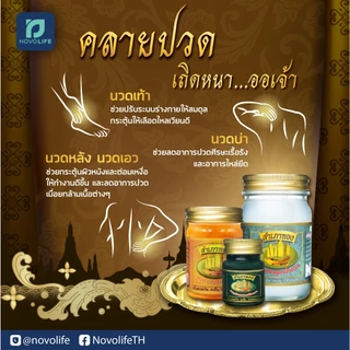 สำเภาทอง ยาหม่องเสลดพังพอน Salet Pang Phon Balm 50g