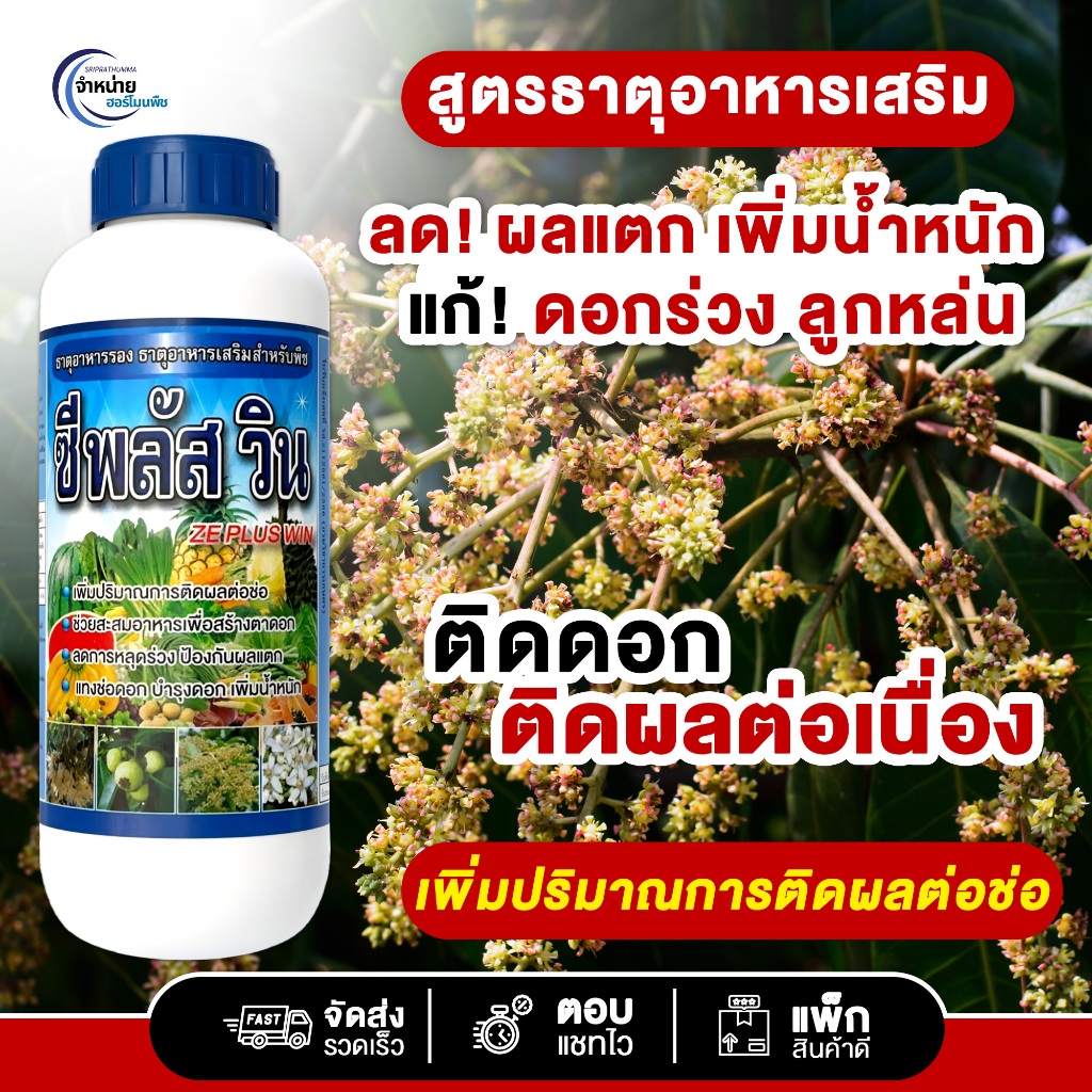 ซีพลัส วิน (ZE PLUS WIN) ขนาด 250CC/500CC/1000CC