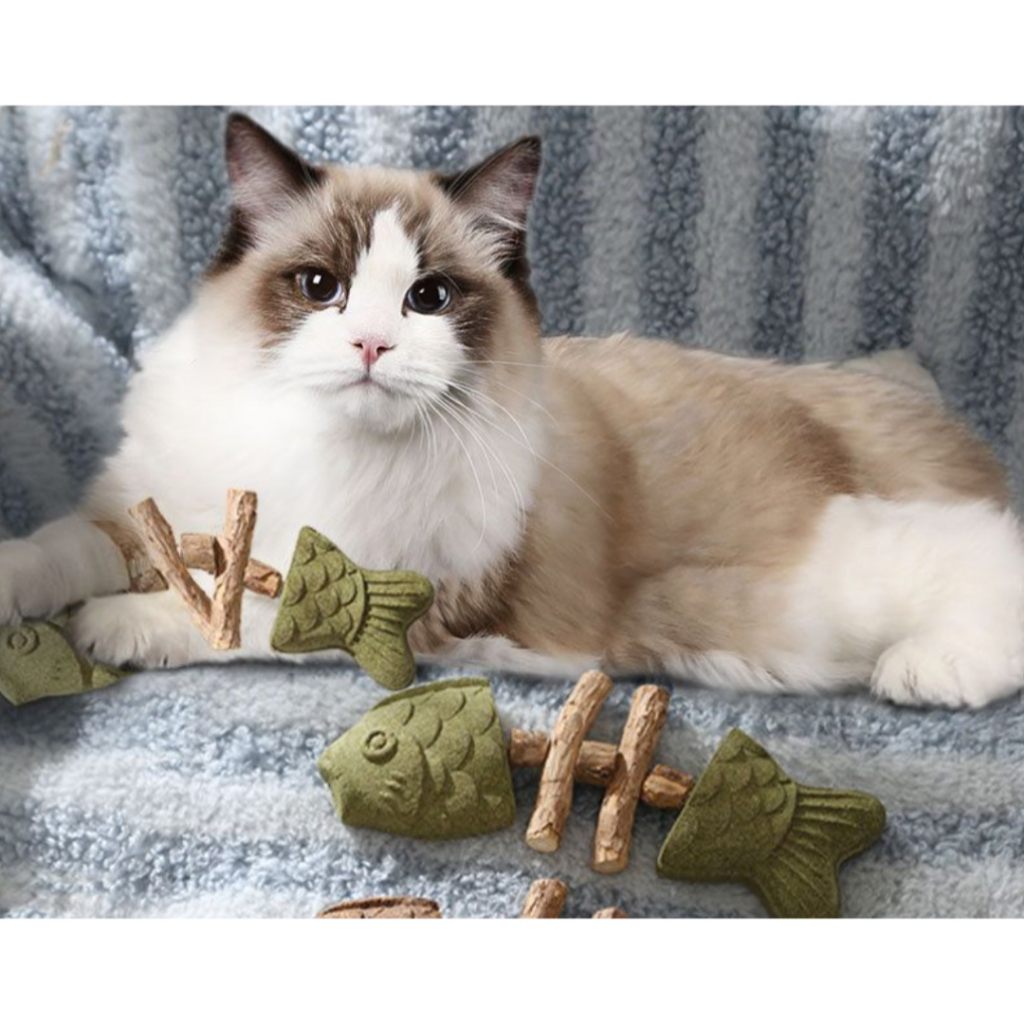 AL-1531 แคทนิปของเล่นแมวรูปทรงก้างปลา มาคู่กับไม้ มาทาทาบิ 2 in 1 ช่วยคลายเครียด พร้อมส่ง🌻🫶🏻 - รูปที่ 2