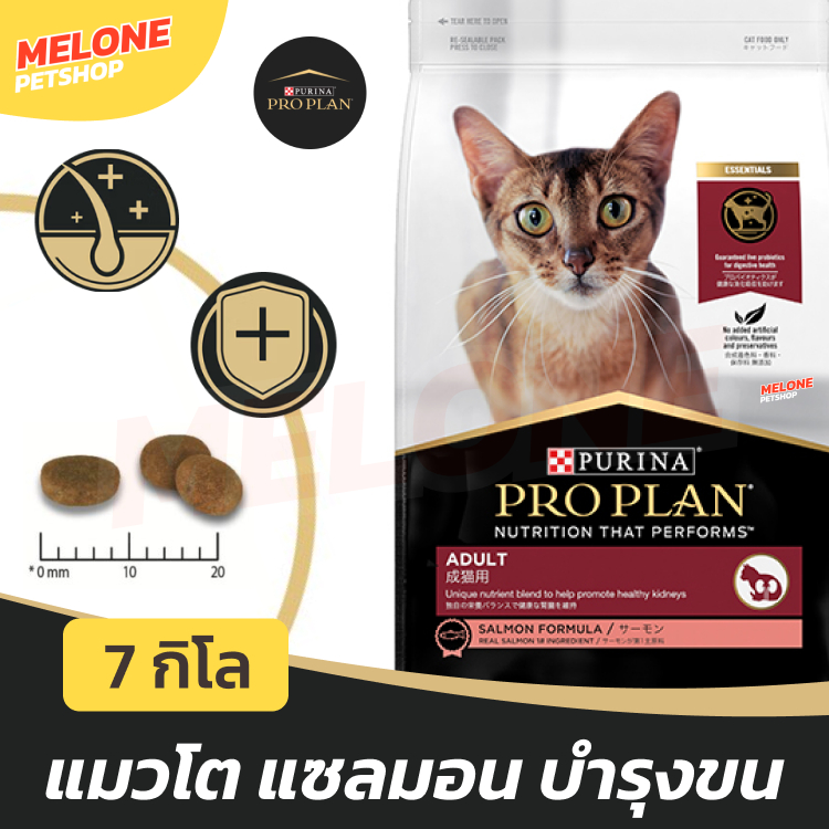 [ล็อตใหม่] Proplan อาหารแมว โปรแพลน แมวโต Adult สูตร แซลมอน บำรุงขน ทานง่าย แมวโต อายุ 1 ปี ขึ้นไป 7 kg