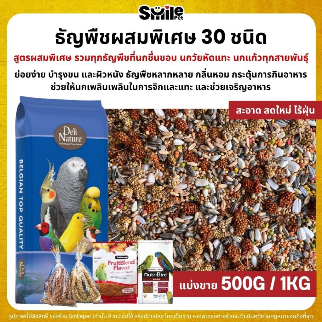 ธัญพืชผสมพิเศษกว่า 30 ชนิด สำหรับนกวัยหัดแทะ และนกแก้วทุกสายพันธุ์ (แบ่งขาย 250G / 500G / 1KG)