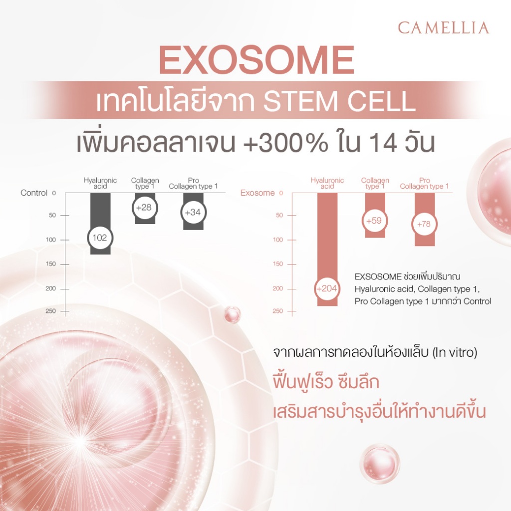 รูปภาพ 4