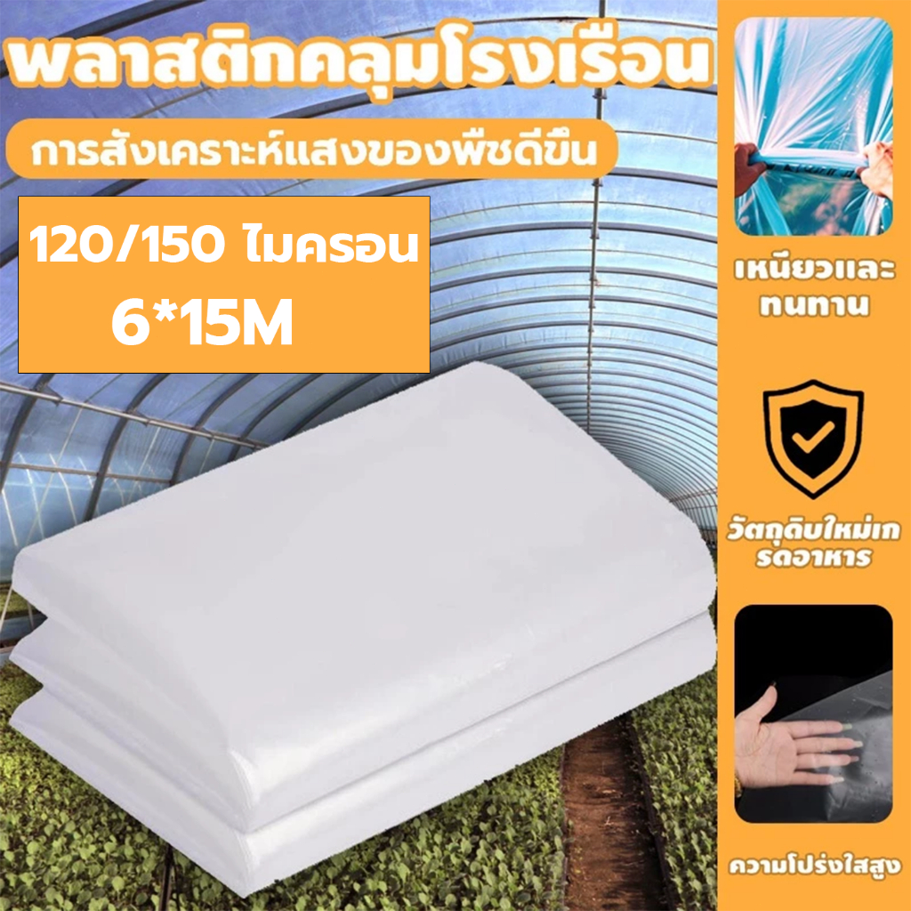 พลาสติกโรงเรือน พลาสติกใส พลาสติกคลุมโรงเรือน กันฝน หนา 150 ไมครอน โรงเรือนแคคตัส พลาสติกปูบ่อ