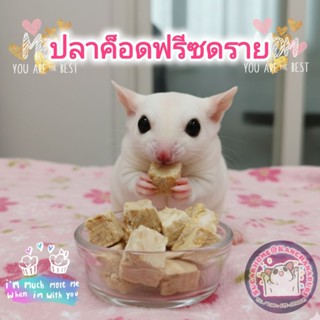 ปลาค็อดฟรีซดรายสำหรับสัตว์เลี้ยง