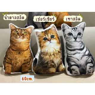 🌈ตุ๊กตาหมอนพิมพ์ลายแมว หมอนแมวเหมียว ภาพสีคมชัด พิมพ์ลาย2ด้าน ขนาด 50cm./60cm. มีหลายลายให้เลือกเลื่อนดูได้เลยค่า💗