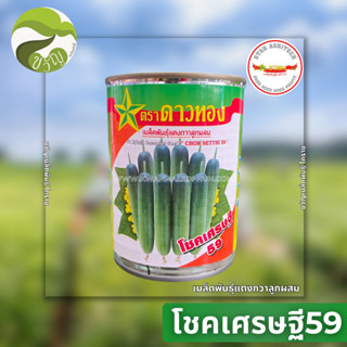 เมล็ดพันธุ์ แตงกวา ลูกผสม แตงกวา โชคเศรษฐี ตรา ดาวทอง ลอตใหม…