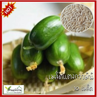 10 เมล็ด แตงกวามินิ แตงกวาไข่ไก่ แตงกวาญี่ปุ่น เมล็ดแตงกวามิ…