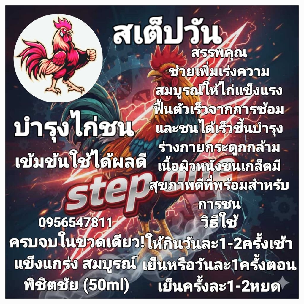 สเต็ปวัน บำรุงไก่ชน 1ขวด60ml หน้าแดงผิวหนังขนสวยช่วยความสมบูรณ์ฟื้นตัวจากอาการอ่อนล้าจากการซ้อม/ชนได้เร็วผลิตจากธรรมชาติ ราคา ถูกที่สุด ดีลบีเคเค