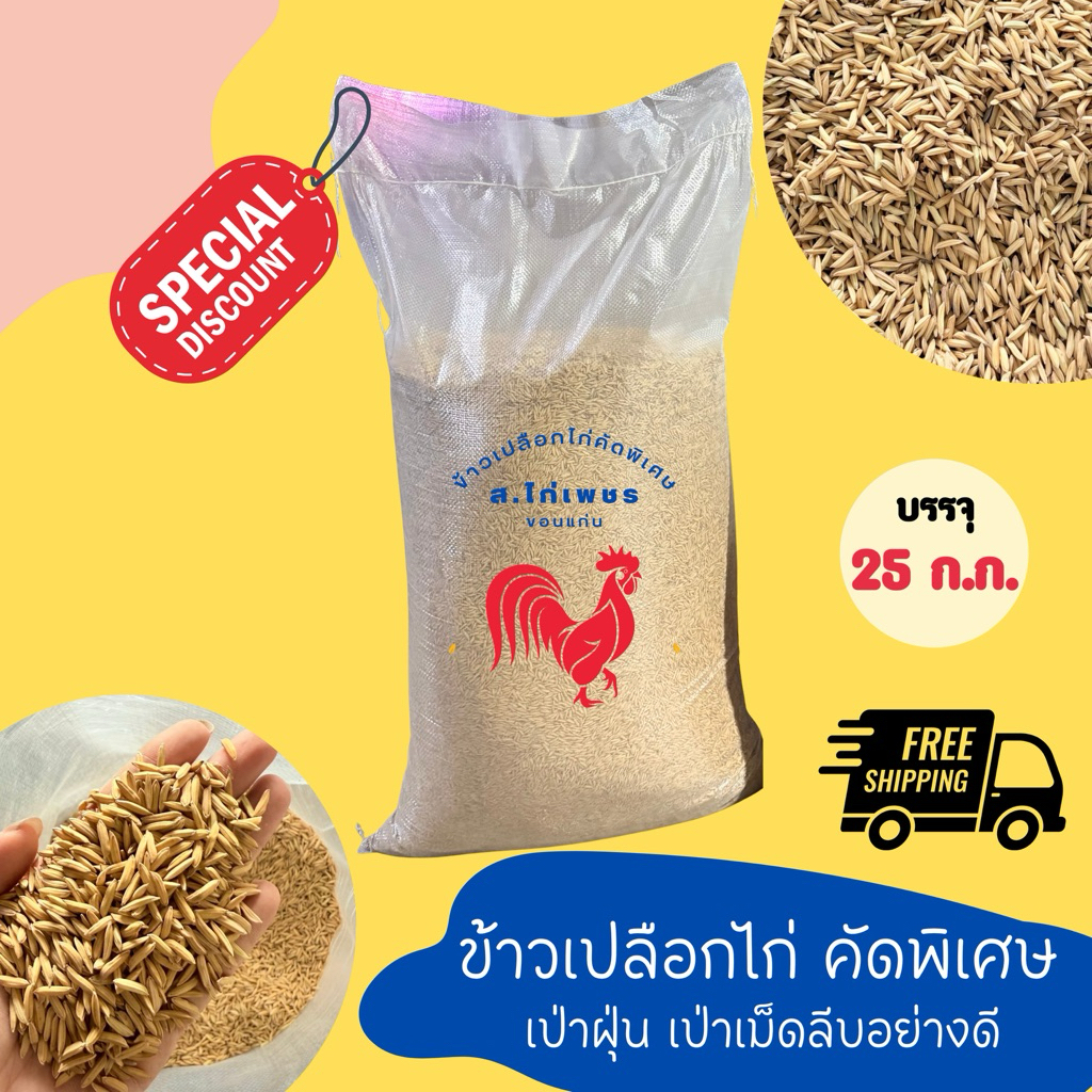 ‼️มีโค้ดส่งฟรี มีส่วนลด‼️ ข้าวเปลือกไก่ชน ขนาด 25 กิโลราคาถูก ✅ คัดพิเศษ เป่าฝุ่น/เม็ดลีบ ข้าวจ้าวพันธุ์กข79,85 พร้อมส่ง