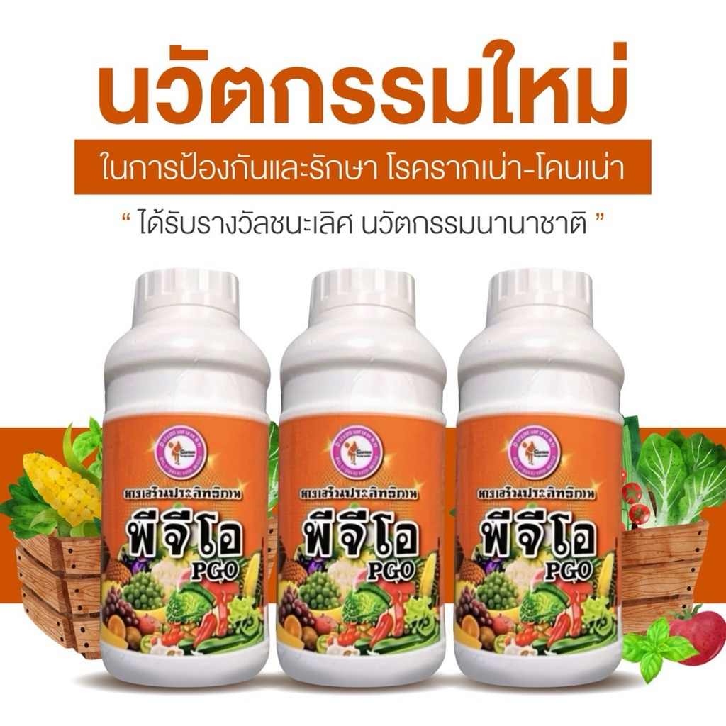 PGO พีจีโอ นวัตกรรมใหม่ในการจำกัดโรครากเน่าโคนเน่า พ่นแผล ราดโคน พ่นผลพ่นใบในพืช จะเป็นสารชีวภาพ