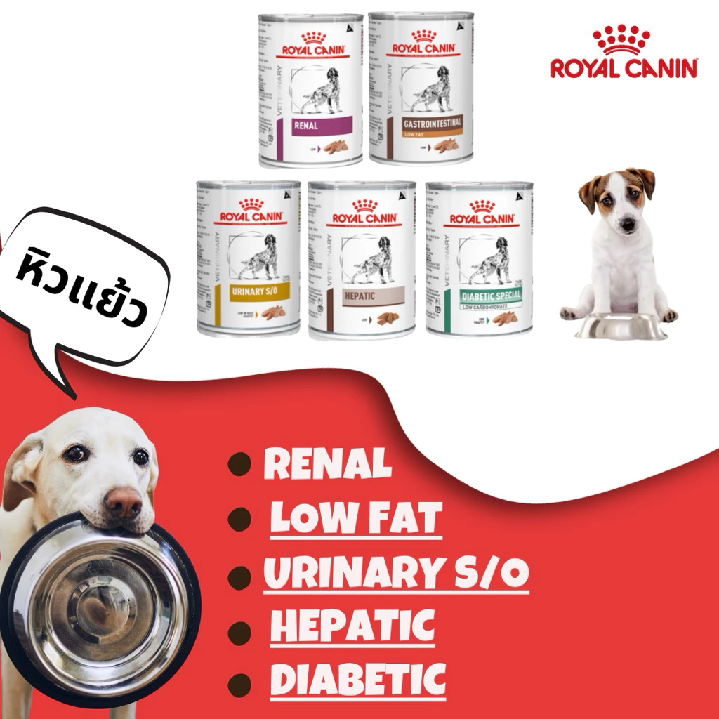 อาหารสุนัข renal hepatic urinary Lowfat diabetic 410-420 g. (1 กระป๋อง)