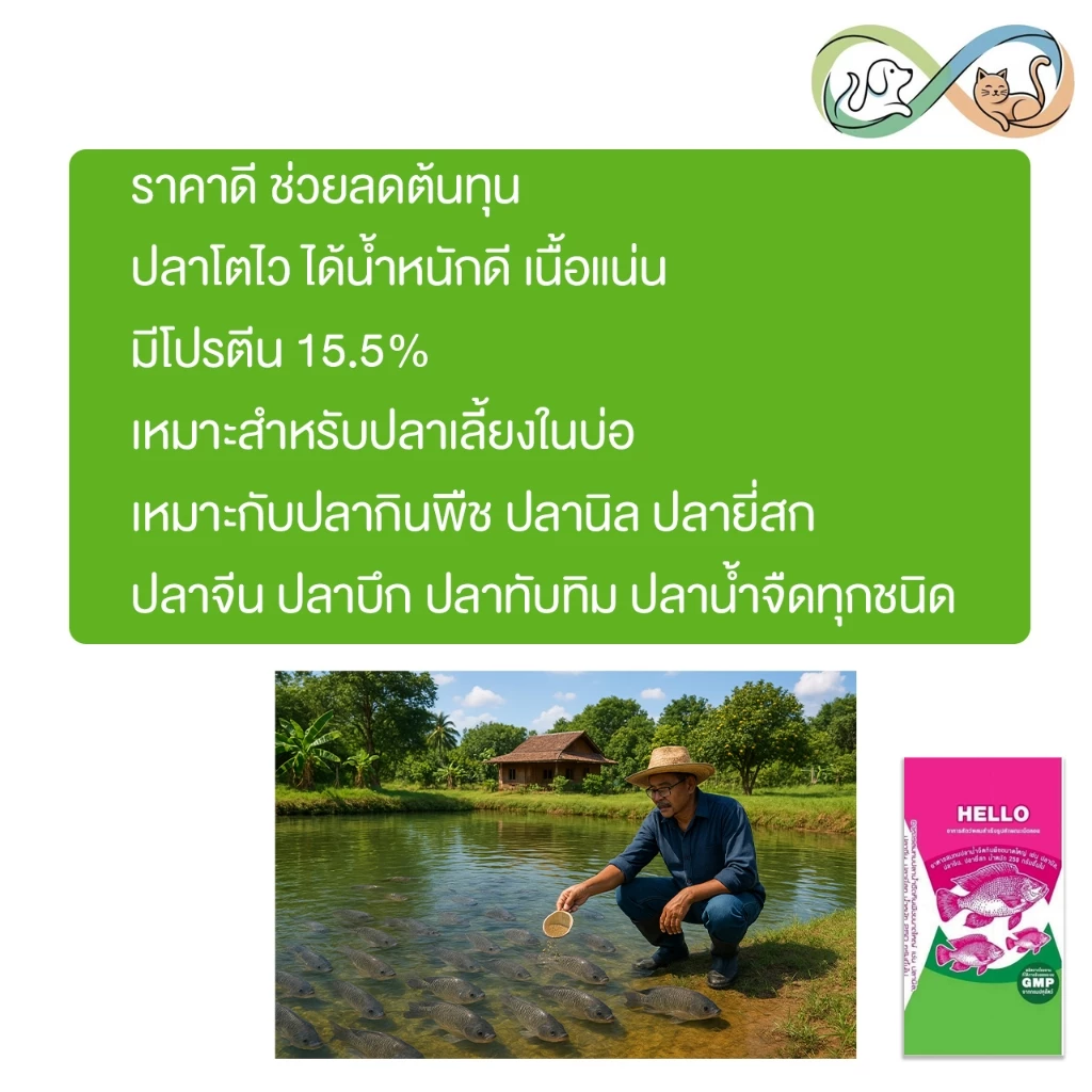 Hello อาหารปลากินพืช เฮลโล เม็ดใหญ่ โปรตีน 15.5%  อาหารปลา ขนาด 20 kg. thumbnail 4