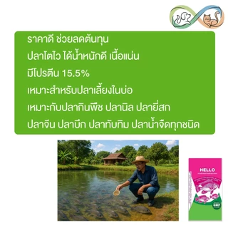 Hello อาหารปลากินพืช เฮลโล เม็ดใหญ่ โปรตีน 15.5% อาหารปลา ขนาด 20 kg.