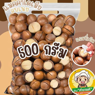 [500 กรัม] แมคคาเดเมีย อบเนย แมคคา ถั่ว ขนาด 1,000 กรัม กับ ขนาด 500 กรัม แถมที่เปิด หอมกลิ่นเนยอ่อนๆ ร้าน ต้าขายดี