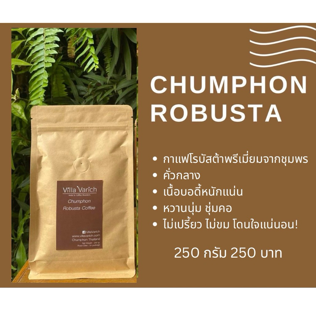 กาแฟโรบัสต้าชุมพร fine robusta