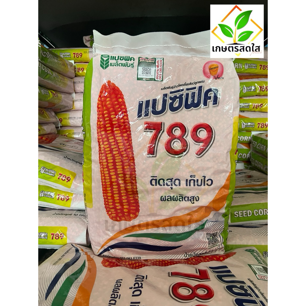 💥 ข้าวโพดแปซิฟิค 789 *ขนาด 10 กิโลกรัม (3.5 หุน/เบอร์ 2) ติดสุดปลายฝัก ผลผลิตต่อไร่สูง