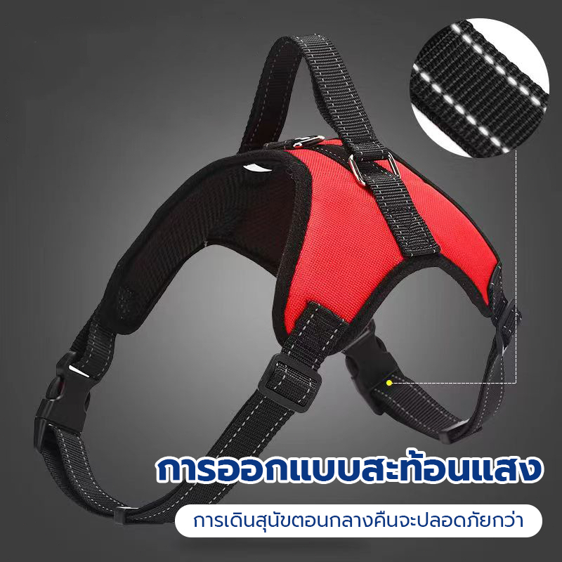 เสื้อรัดอกสุนัข สายรัดแมว 1 ชุดสัตว์เลี้ยงเชือกจูงเสื้อกั๊กหน้าอกสายคล้องคอปรับได้ง่ายควบคุม เสื้อรัดอก สายจูงสัตว์เลี้ย รูปที่ 5