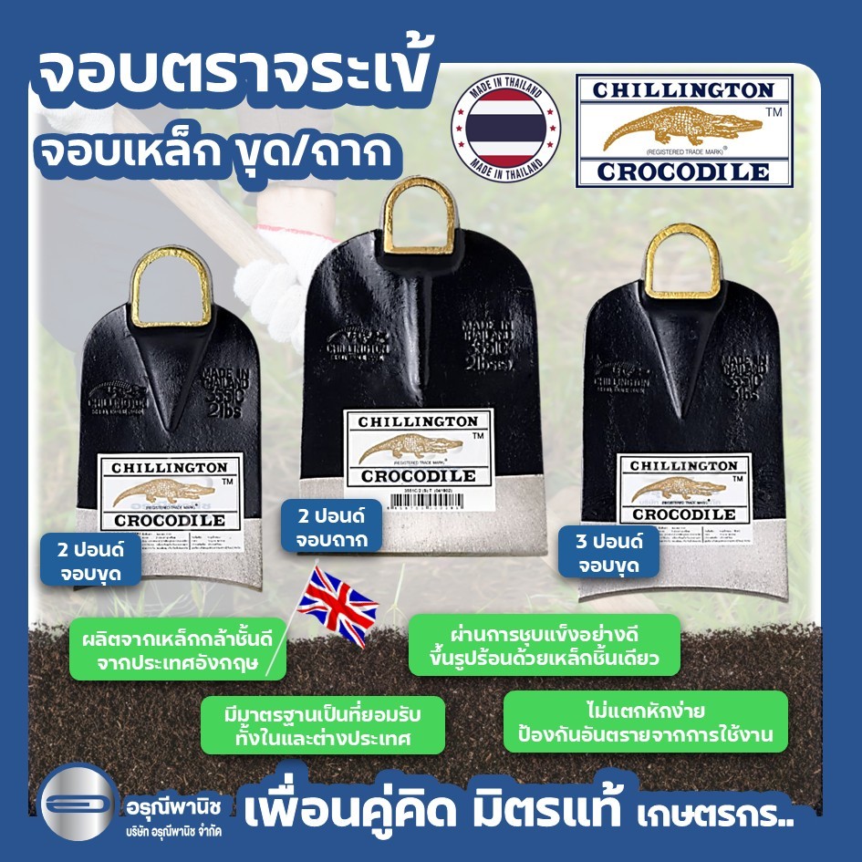 จอบตราจระเข้ 2 ปอนด์ 3 ปอนด์ จอบขุด / จอบถาก