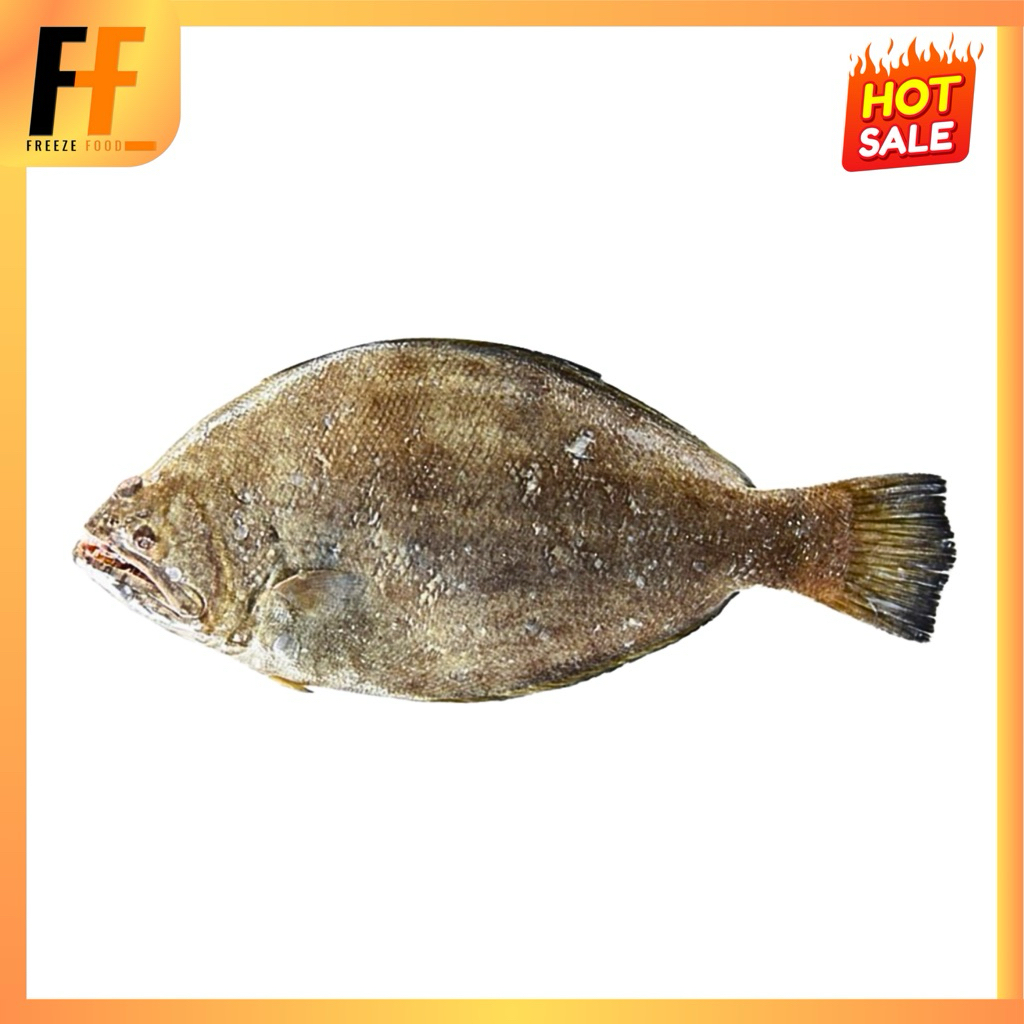ปลาตาเดียว (ทั้งตัว) 600-800 กรัม