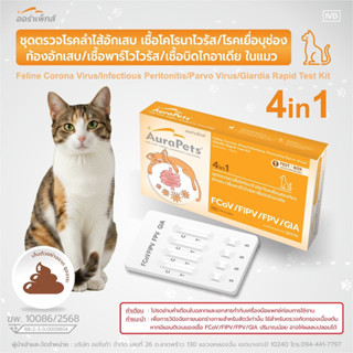 ชุดตรวจ4n1ทางเดินอาหารFelineCoronaVirus/InfectiousPeritoniti…