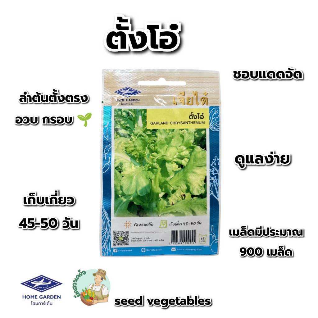ตั้งโอ๋ CT/OP-142 ผักซอง เจียไต๋ เมล็ดพันธุ์ผัก เมล็ดผัก เมล็ดพืช ผักสวนครัว ซองประมาณ 900 เมล็ด