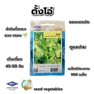 ตั้งโอ๋ CT/OP-075 ผักซอง เจียไต๋ เมล็ดพันธุ์ผัก เมล็ดผัก เมล…