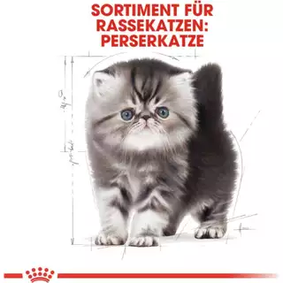 *2kg.* Royal Canin Persian Kitten - ลูกแมว พันธุ์เปอร์เซีย