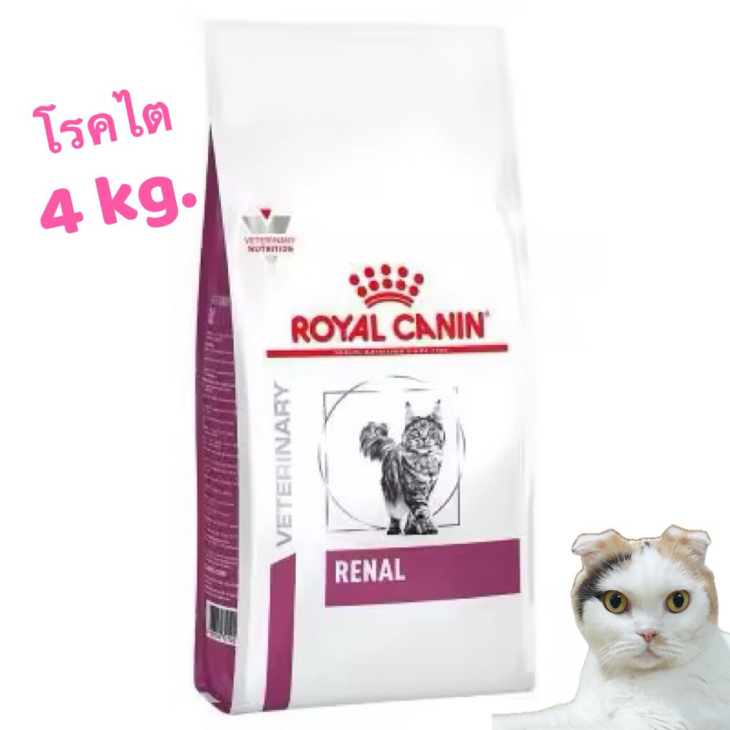 Royal Canin Renal 4kg อาหารแมวโรคไต สูตรเวท สูตรควบคุมโปรตีน ฟอสฟอรัสต่ำ ช่วยบำรุงไต สำหรับแมวโต (โร