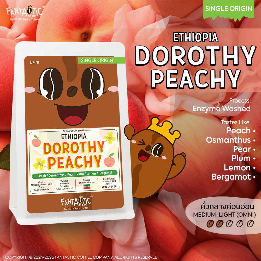 เมล็ดกาแฟ Ethiopia Dorothy Peachy (คั่วกลางอ่อน) FANTASTIC Beans Coffee