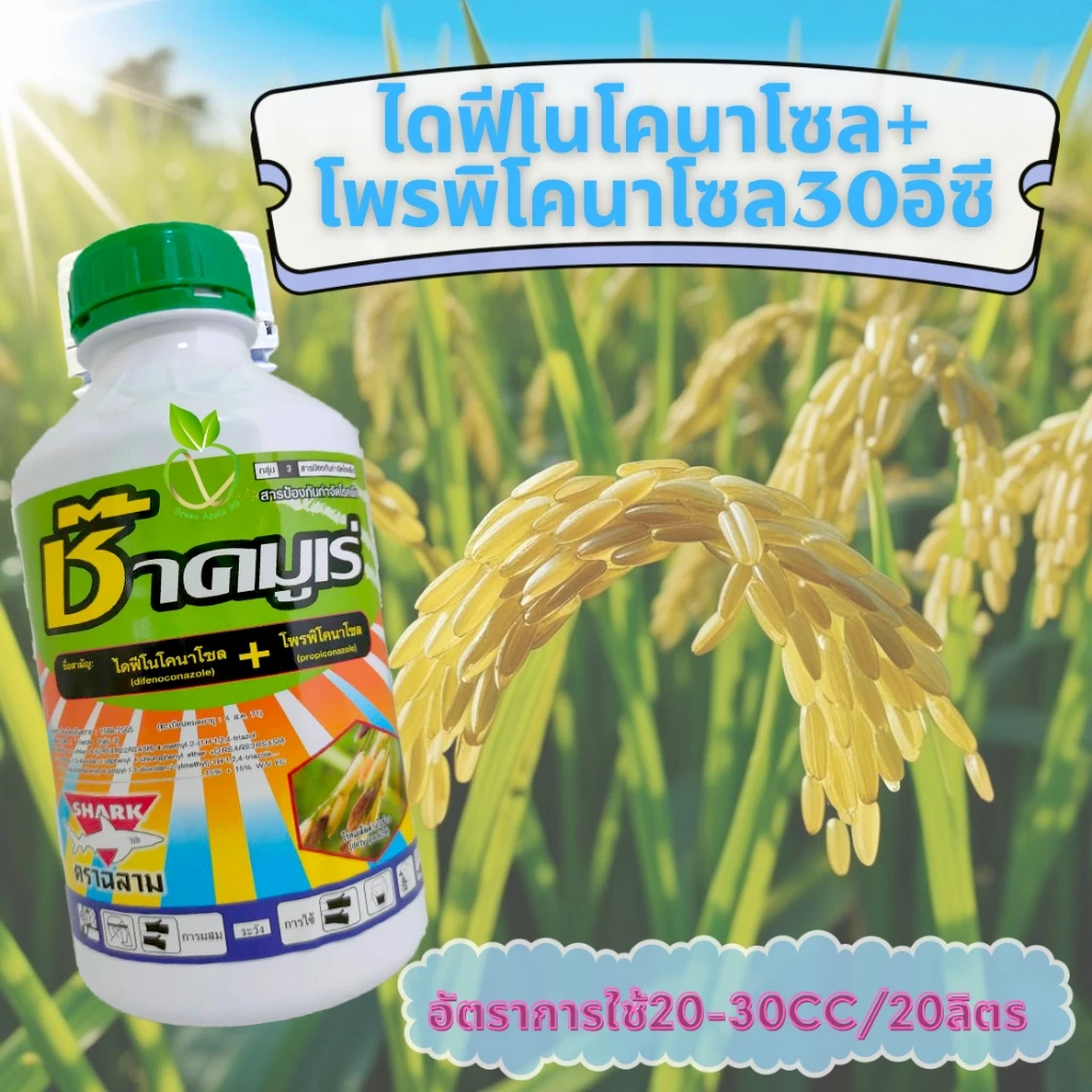 ช๊าคมูเร่ ไดฟีโนโคราโซล 15% + โพรพิโคนาโซล 15% ขนาด 1 ลิตร สารเดียวกับอามูเร่ ป้องกันเมล็ดด่าง โรคดอกกระถิน