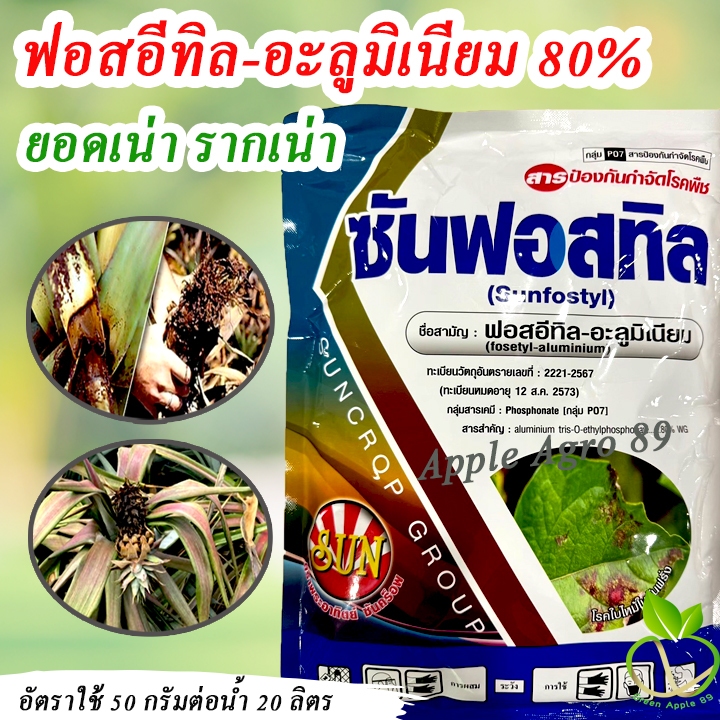 ซันฟอสทิล ฟอสอีทิล-อะลูมิเนียม 80 suncrop ขนาด 1 กิโล (fosetyl-aluminium) ฟอสอีทิล กำจัดรากเน่า เชื้อราในพืช