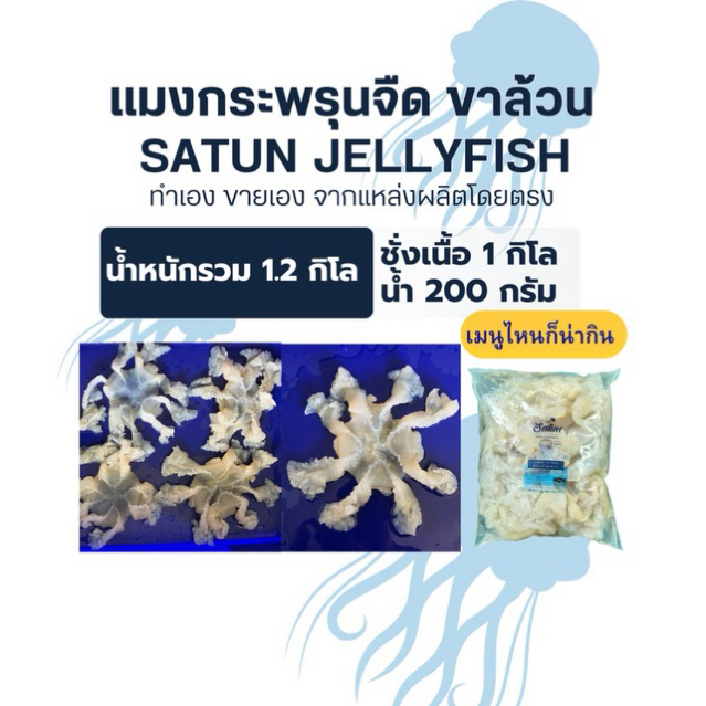 แมงกะพรุนล้างจืด 1.2 กิโลกรัม(ขาล้วน)