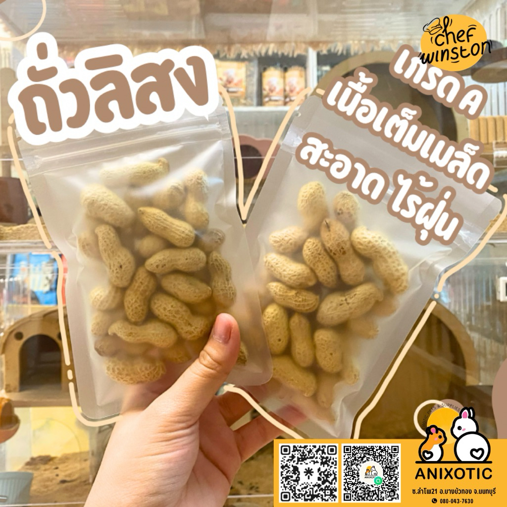 Chef Winston [ถั่วลิสง] ถั่วสำหรับสัตว์เลี้ยง ถั่วแฮมสเตอร์ ถั่วดัมโบ้แรท ถั่วกระรอก
