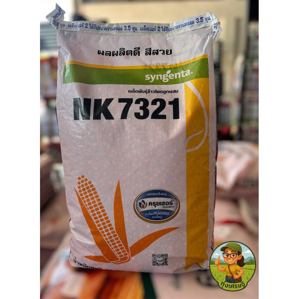 เมล็ดพันธุ์ข้าวโพด NK7321 ขนาด 10 kg อายุเก็บเกี่ยว 110 - 120 วัน ใบตั้ง ปลูกถี่ได้ ให้ผลผลิตสูง ฝัก