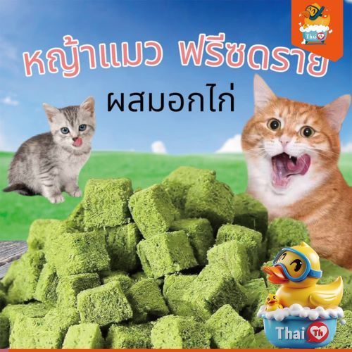 Thai.th  ขนมหญ้าแมว ฟรีซดราย ผลิตจากต้นอ่อนข้าวสาลี ช่วยขัดฟัน Catnip