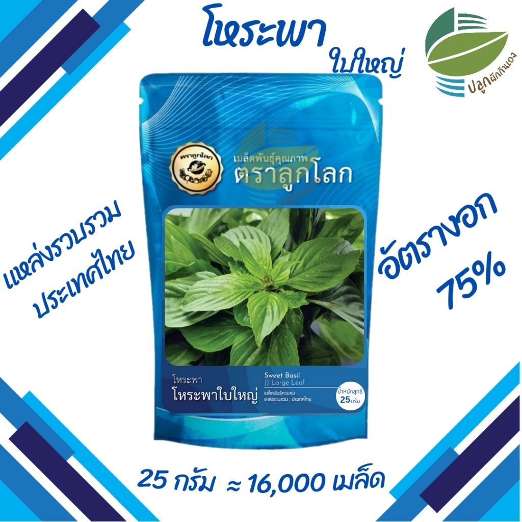 เมล็ดพันธุ์ โหระพาใบใหญ่  25 กรัม