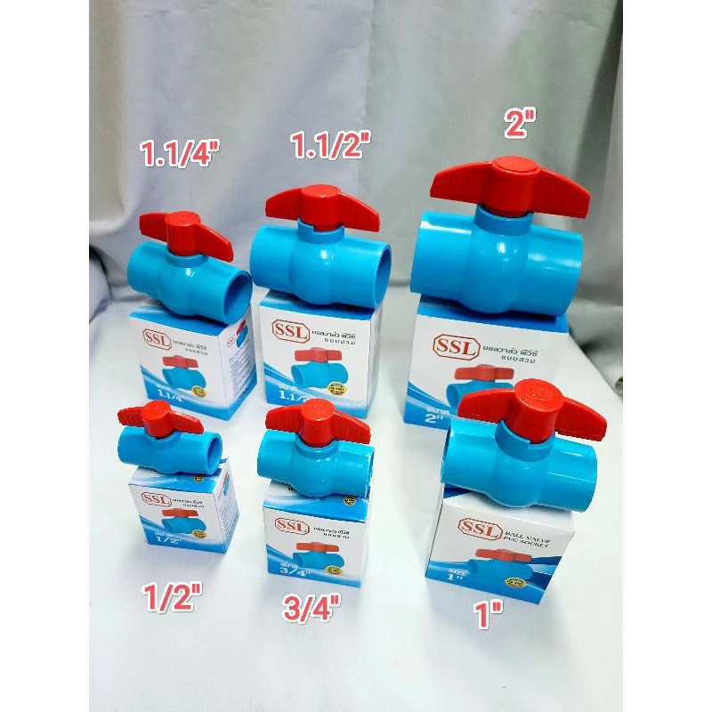 รูปภาพ 3