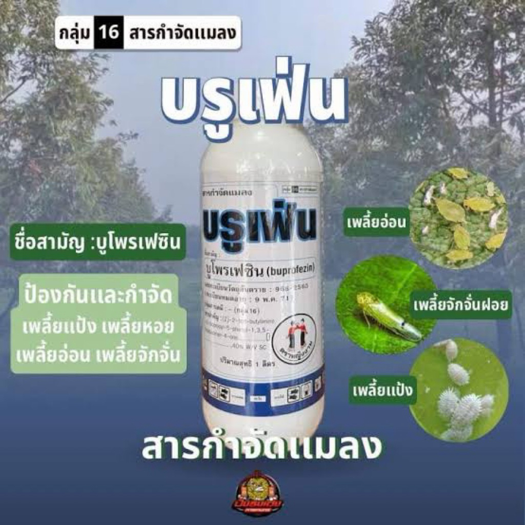 บรูเฟ่น 1 ลิตร ตราหญิงงาม บูโพรเฟซิน40% คุมไข่เพลี้ย เพลี้ยไฟ เพลี้ยไก่แจ้ เพลี้ยหอย เพลี้ยแป้ง